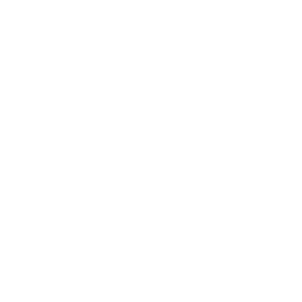 CAMPING CHAIR